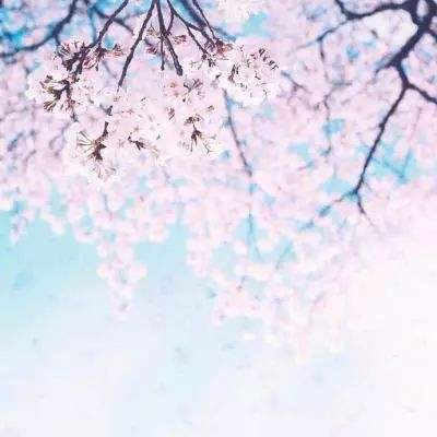 果盘奥拉都遗迹手游下载
