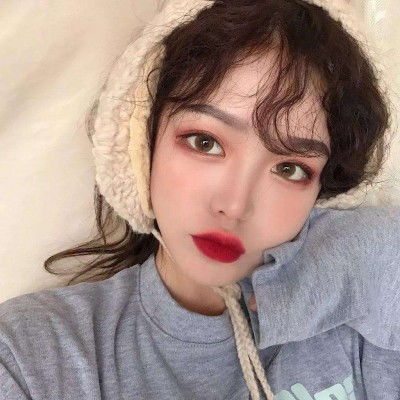 我在清朝当宰相内购破解版下载